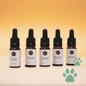 Aceite de CBD para mascotas 10% full spectrum mascotas dosis aceite cbd perros