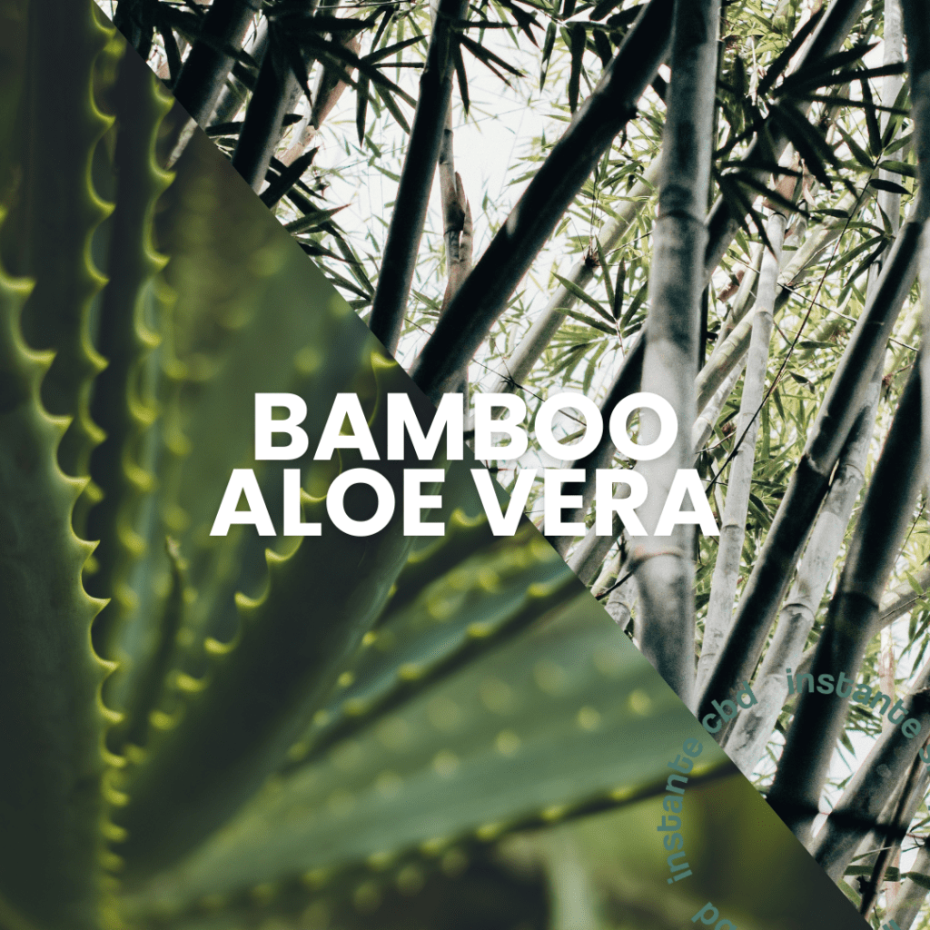 Bamboo Aloe Vera Lost Mary