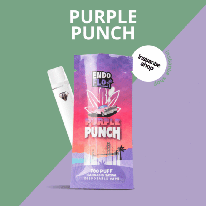 VAPER Desechable CBD PURPLE PUNCH 500mg