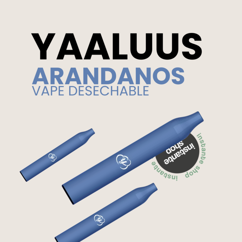 Arandanos Yaaluus, Con Nicotina, Arandanos 600Puff, Sin Nicotina