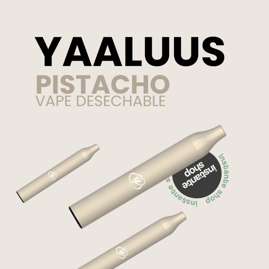 Pistacho Yaaluus, Con Nicotina, Pistacho 600Puff, Sin Nicotina