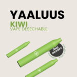 Kiwi YAALUUS, con nicotina, Menta Verde 600puff, Sin nicotina