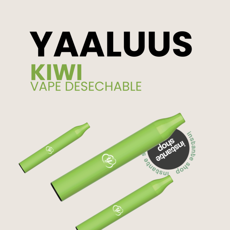 Kiwi Yaaluus, Con Nicotina, Menta Verde 600Puff, Sin Nicotina