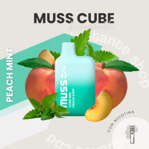 Muss Cube 800 PEACH MINT 🍑🌿