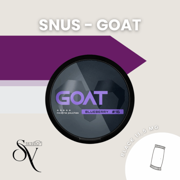 Snus Blueberry 16mg - Goat Bolsas de nicotina