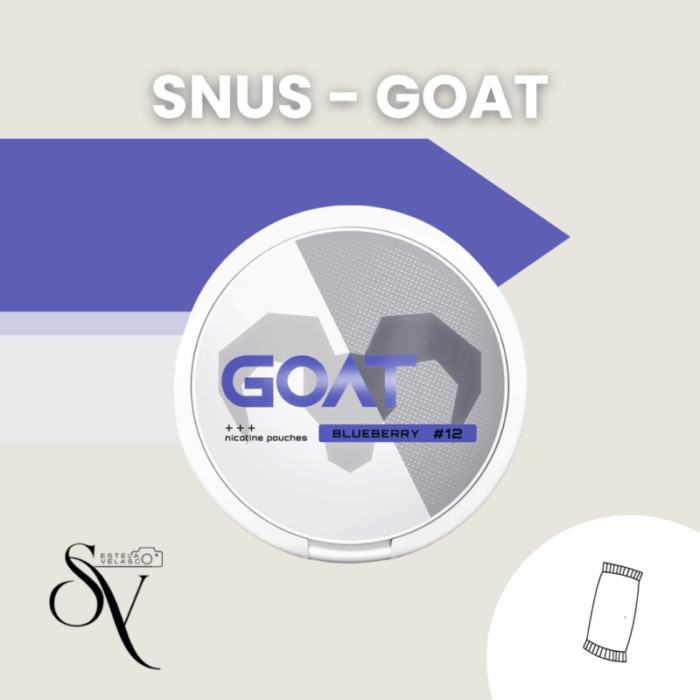Snus Blueberry 12mg - Goat Bolsas de nicotina