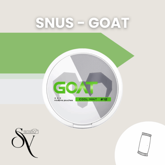 Snus Cool Mint 12mg - Goat Bolsas de nicotina