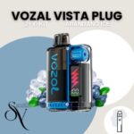 Arándanos Ice - 2+10KIT Vozal Vista Plug