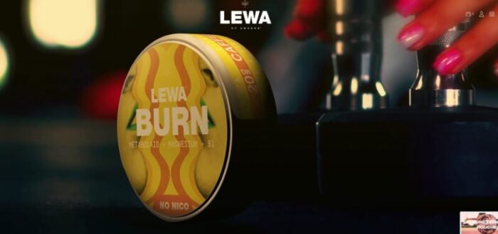 Pouches LEWA sabores