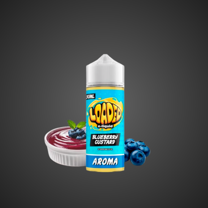 PRODUCTO LOADED LONGFILLS BLUEBERRY CUSTARD